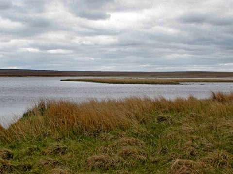 A photograph of Loch Caluim
